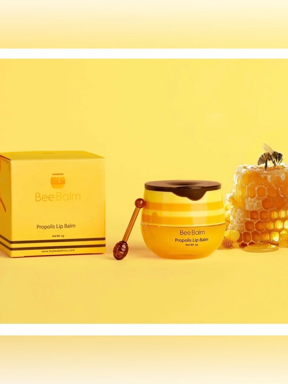 Bee balm Lip Balm-assorted flavors-cute honey pot design